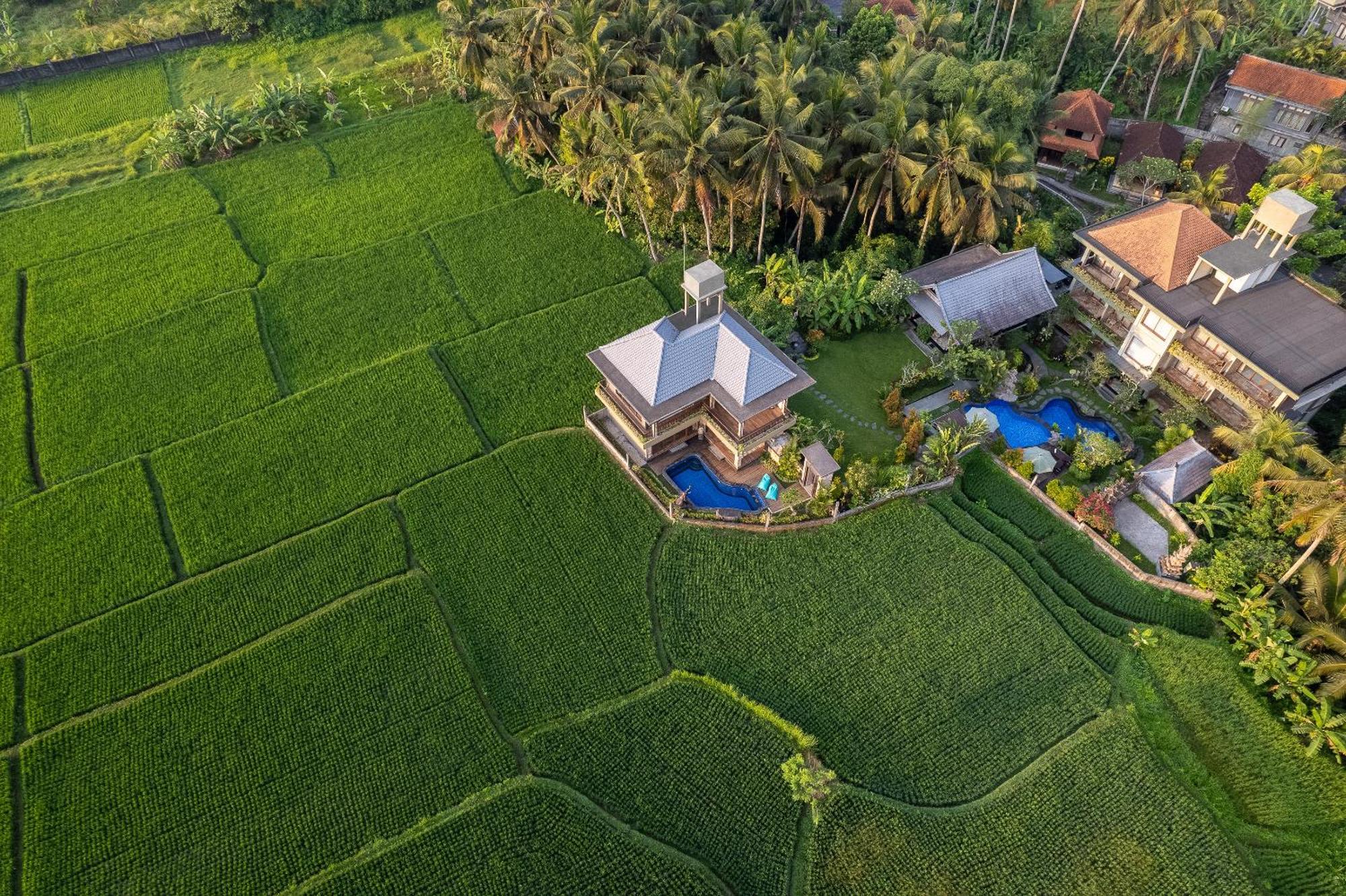 Gynandha Ubud Cottage エクステリア 写真